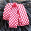 Order  Bias Binding Gingham - Red